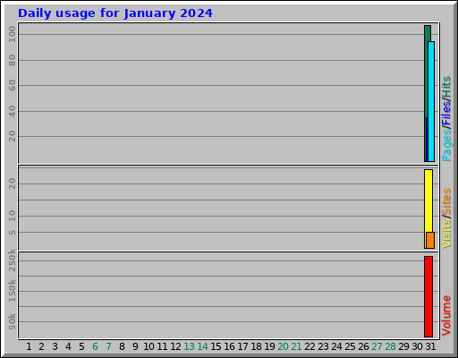 Daily usage for January 2024