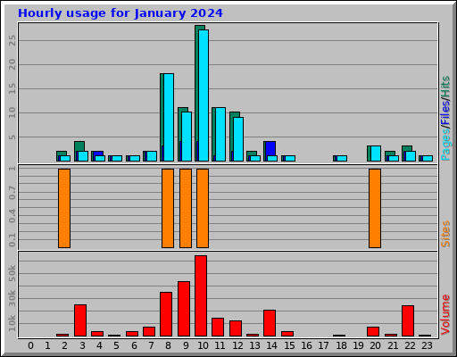 Hourly usage for January 2024