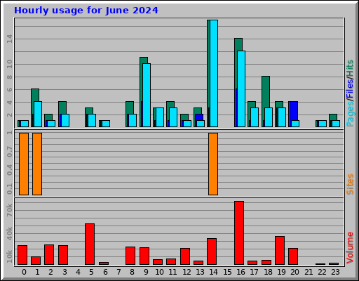 Hourly usage for June 2024