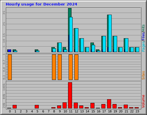 Hourly usage for December 2024
