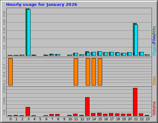 Hourly usage for January 2026