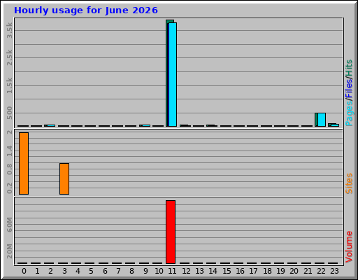 Hourly usage for June 2026