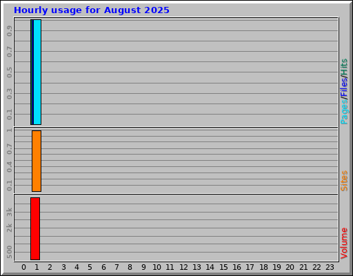 Hourly usage for August 2025