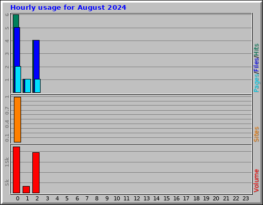 Hourly usage for August 2024