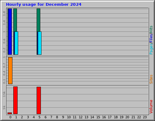 Hourly usage for December 2024 Hourly usage for December 2024