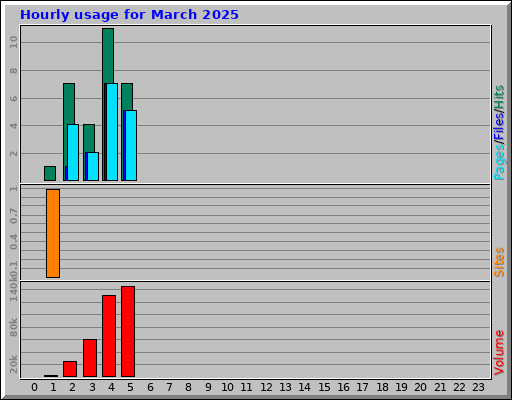 Hourly usage for March 2025 Hourly usage for March 2025
