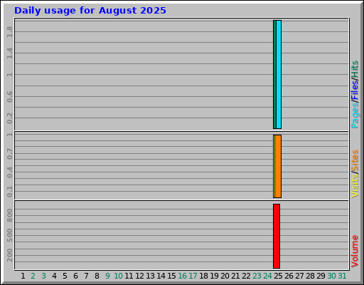 Daily usage for August 2025