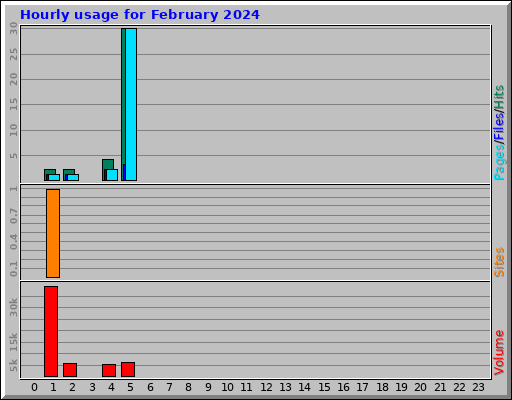 Hourly usage for February 2024 Hourly usage for February 2024