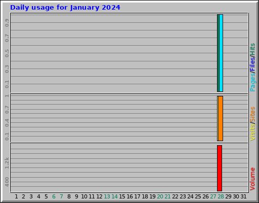 Daily usage for January 2024