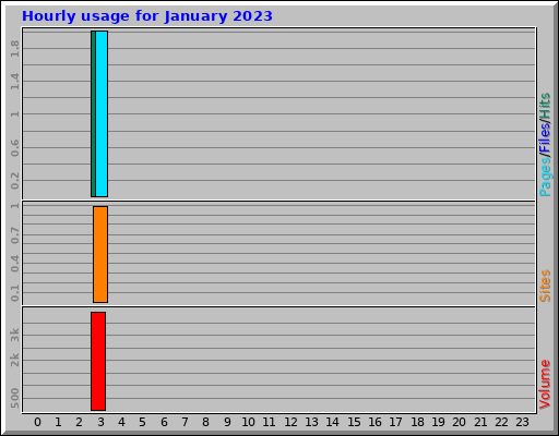 Hourly usage for January 2023