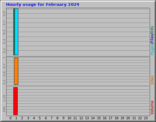 Hourly usage for February 2024 Hourly usage for February 2024