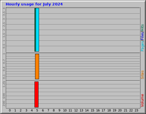 Hourly usage for July 2024
