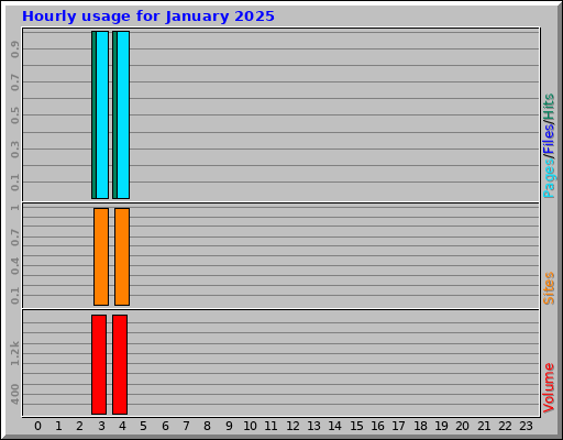 Hourly usage for January 2025